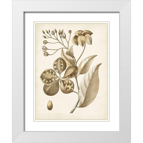 Ochre Botanical II White Modern Wood Framed Art Print with Double Matting by Vision Studio