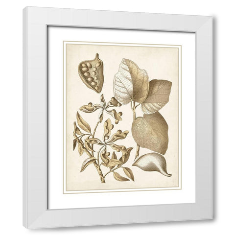 Ochre Botanical III White Modern Wood Framed Art Print with Double Matting by Vision Studio