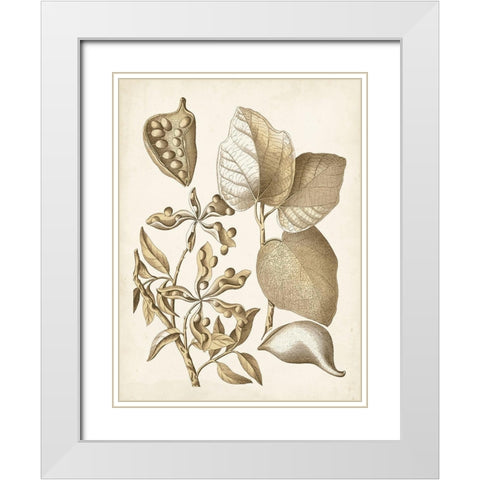 Ochre Botanical III White Modern Wood Framed Art Print with Double Matting by Vision Studio