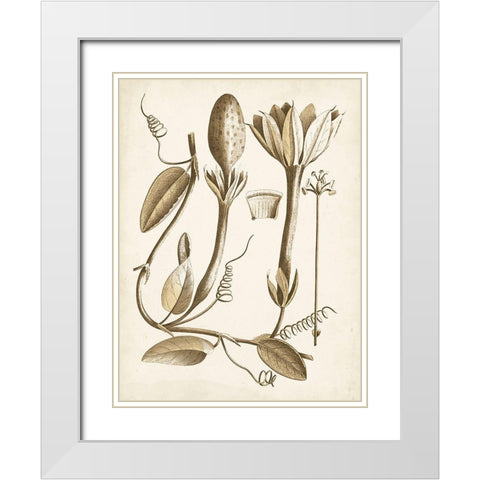 Ochre Botanical IV White Modern Wood Framed Art Print with Double Matting by Vision Studio