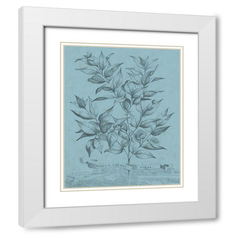 Botanical on Teal I White Modern Wood Framed Art Print with Double Matting by Vision Studio