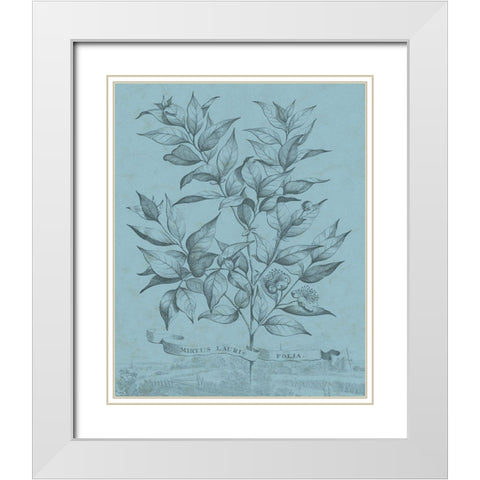 Botanical on Teal I White Modern Wood Framed Art Print with Double Matting by Vision Studio