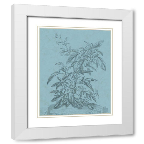 Botanical on Teal III White Modern Wood Framed Art Print with Double Matting by Vision Studio