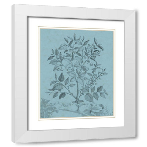 Botanical on Teal V White Modern Wood Framed Art Print with Double Matting by Vision Studio