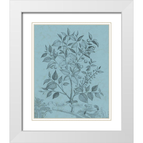 Botanical on Teal V White Modern Wood Framed Art Print with Double Matting by Vision Studio