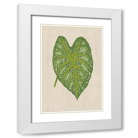 Leaves on Linen I White Modern Wood Framed Art Print with Double Matting by Unknown