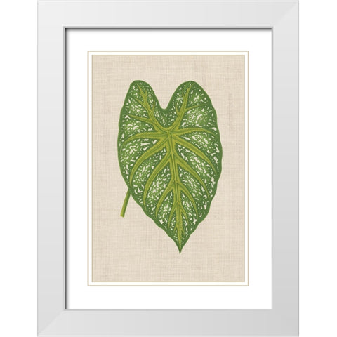Leaves on Linen I White Modern Wood Framed Art Print with Double Matting by Unknown