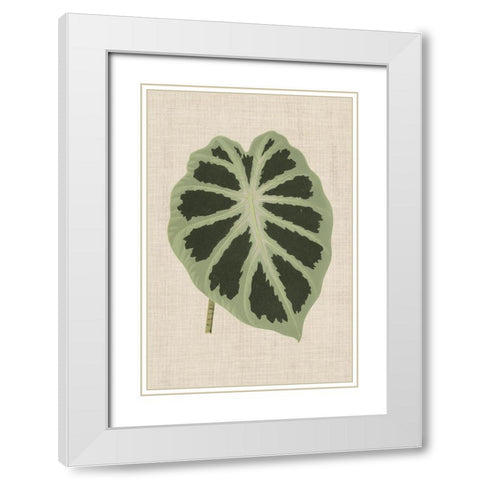 Leaves on Linen II White Modern Wood Framed Art Print with Double Matting by Unknown