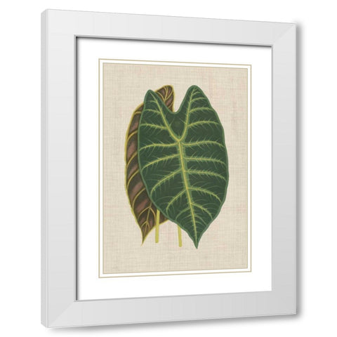 Leaves on Linen III White Modern Wood Framed Art Print with Double Matting by Unknown