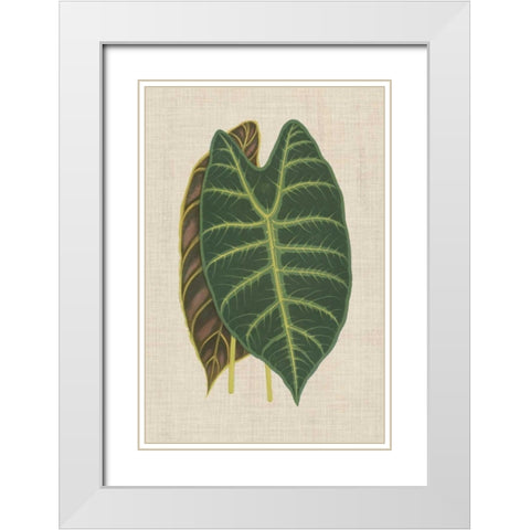 Leaves on Linen III White Modern Wood Framed Art Print with Double Matting by Unknown