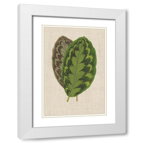 Leaves on Linen IV White Modern Wood Framed Art Print with Double Matting by Unknown