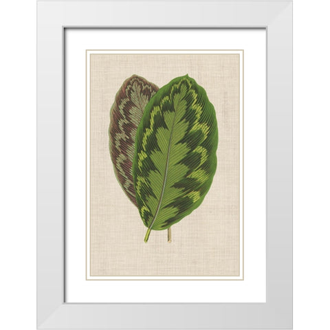 Leaves on Linen IV White Modern Wood Framed Art Print with Double Matting by Unknown
