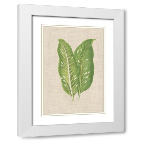 Leaves on Linen V White Modern Wood Framed Art Print with Double Matting by Unknown