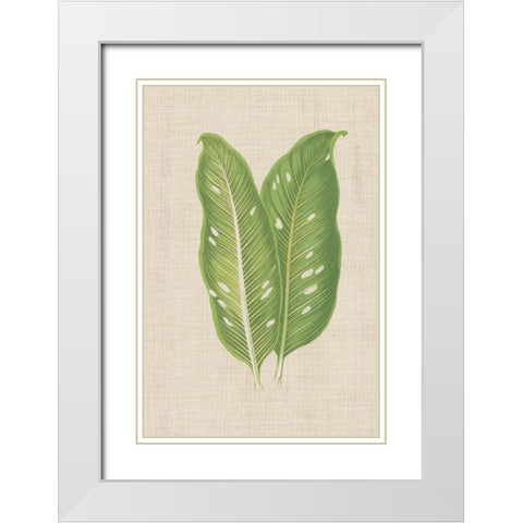 Leaves on Linen V White Modern Wood Framed Art Print with Double Matting by Unknown