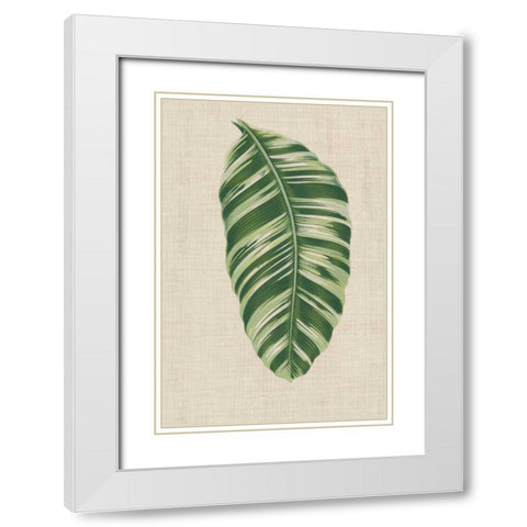 Leaves on Linen VI White Modern Wood Framed Art Print with Double Matting by Unknown