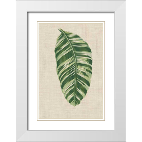 Leaves on Linen VI White Modern Wood Framed Art Print with Double Matting by Unknown