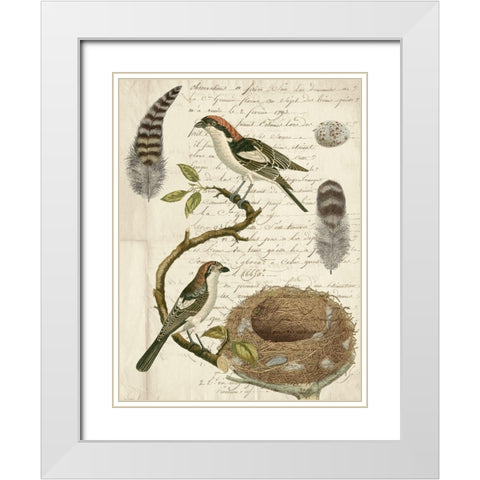 Avian Journal I White Modern Wood Framed Art Print with Double Matting by Vision Studio