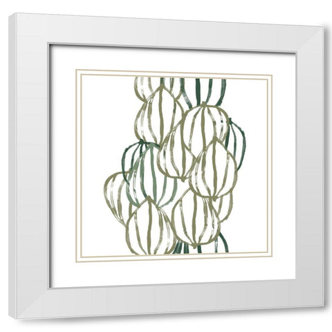 Seed Vessels III White Modern Wood Framed Art Print with Double Matting by Vess, June Erica