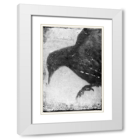 B and W Flight I White Modern Wood Framed Art Print with Double Matting by Blixt, Ingrid