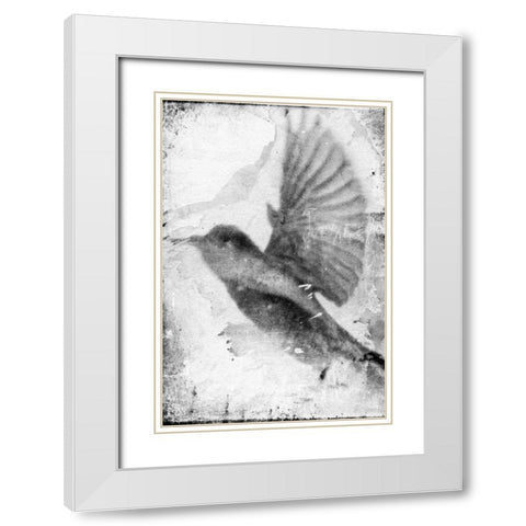 B and W Flight II White Modern Wood Framed Art Print with Double Matting by Blixt, Ingrid