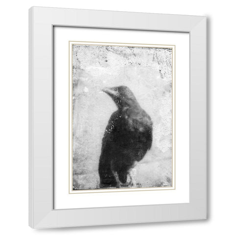 B and W Flight III White Modern Wood Framed Art Print with Double Matting by Blixt, Ingrid