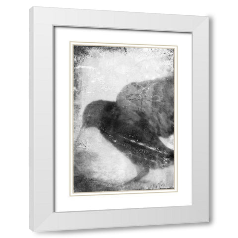 B and W Flight V White Modern Wood Framed Art Print with Double Matting by Blixt, Ingrid