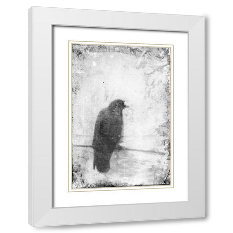 B and W Flight VI White Modern Wood Framed Art Print with Double Matting by Blixt, Ingrid