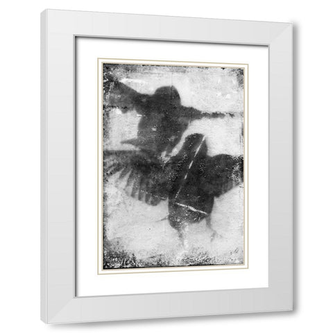 B and W Flight VII White Modern Wood Framed Art Print with Double Matting by Blixt, Ingrid