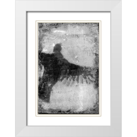 B and W Flight VIII White Modern Wood Framed Art Print with Double Matting by Blixt, Ingrid