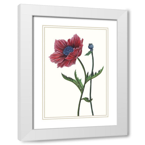 Poppy Flower II White Modern Wood Framed Art Print with Double Matting by Wang, Melissa