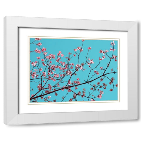 Petals and Sky III White Modern Wood Framed Art Print with Double Matting by Chandler, Sharon