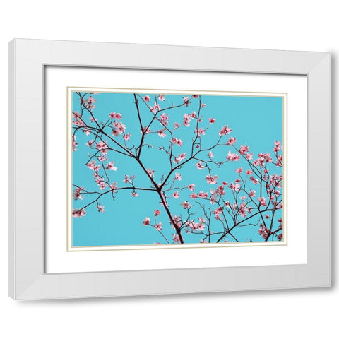 Petals and Sky IV White Modern Wood Framed Art Print with Double Matting by Chandler, Sharon