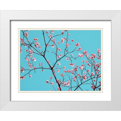 Petals and Sky IV White Modern Wood Framed Art Print with Double Matting by Chandler, Sharon