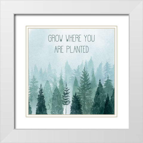 Little Grower II White Modern Wood Framed Art Print with Double Matting by Popp, Grace