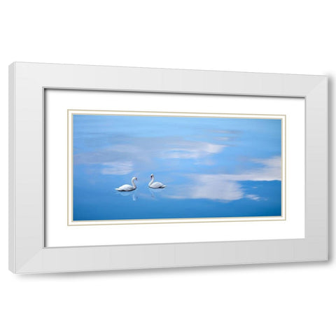 Dusk and Water VI White Modern Wood Framed Art Print with Double Matting by McLoughlin, James