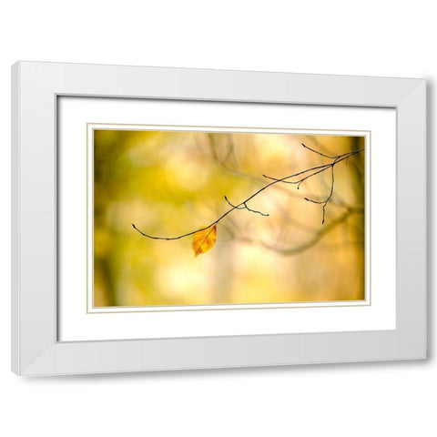 Forest Run I White Modern Wood Framed Art Print with Double Matting by McLoughlin, James