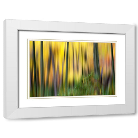 Forest Run II White Modern Wood Framed Art Print with Double Matting by McLoughlin, James