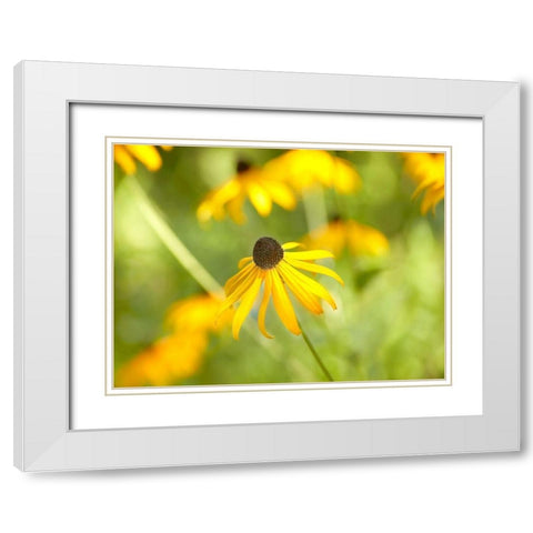 Susan Study I White Modern Wood Framed Art Print with Double Matting by McLoughlin, James