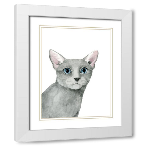 Cat Portrait I White Modern Wood Framed Art Print with Double Matting by Popp, Grace