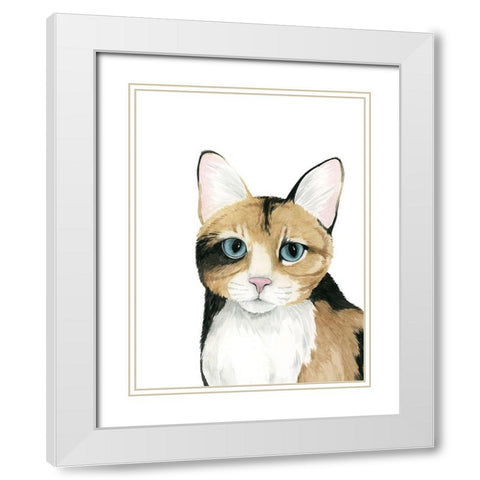 Cat Portrait II White Modern Wood Framed Art Print with Double Matting by Popp, Grace