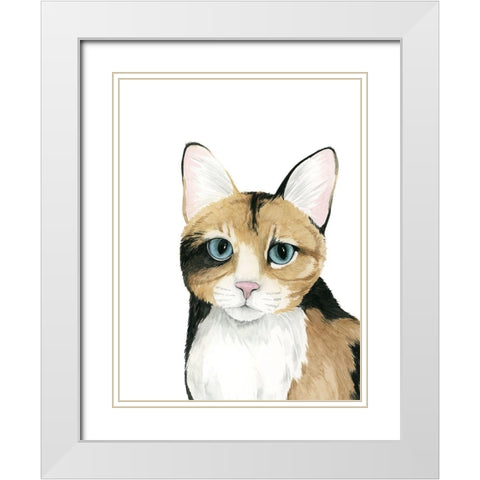 Cat Portrait II White Modern Wood Framed Art Print with Double Matting by Popp, Grace