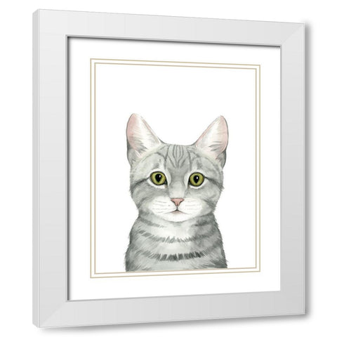 Cat Portrait III White Modern Wood Framed Art Print with Double Matting by Popp, Grace