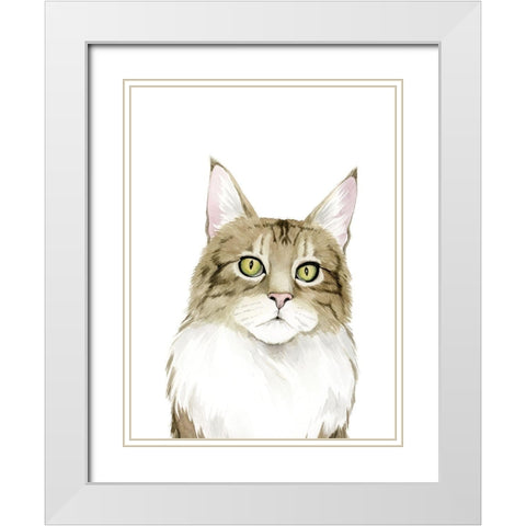 Cat Portrait IV White Modern Wood Framed Art Print with Double Matting by Popp, Grace