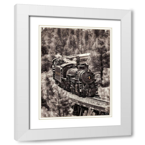 Train Arrival III White Modern Wood Framed Art Print with Double Matting by Drost, David