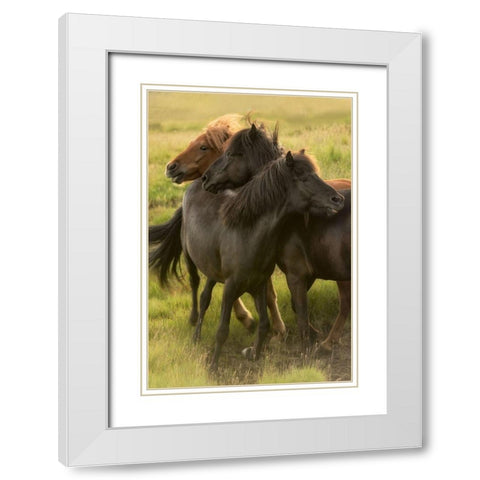 Play Time White Modern Wood Framed Art Print with Double Matting by Head, Danny