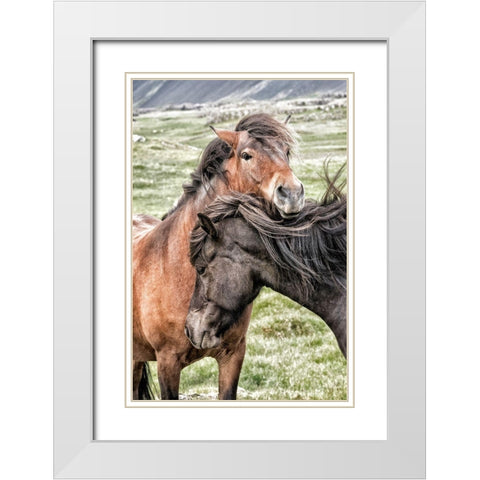 Best Friends White Modern Wood Framed Art Print with Double Matting by Head, Danny