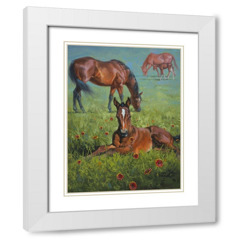 Indian Blanket White Modern Wood Framed Art Print with Double Matting by Sorenson, Jack