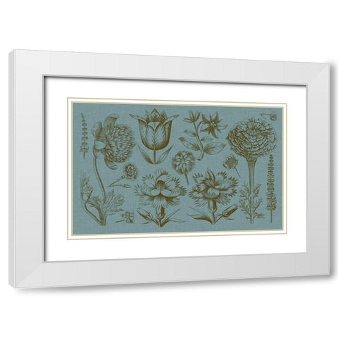 Flower Display II White Modern Wood Framed Art Print with Double Matting by Vision Studio