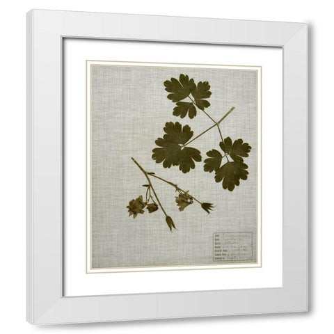 Pressed Leaves on Linen I White Modern Wood Framed Art Print with Double Matting by Vision Studio