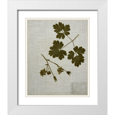 Pressed Leaves on Linen I White Modern Wood Framed Art Print with Double Matting by Vision Studio